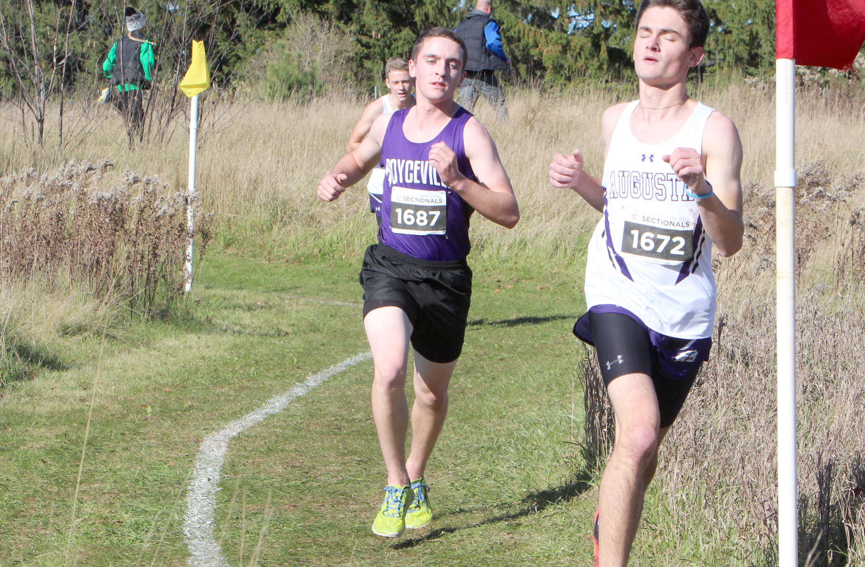Division 3 Cross Country Sectionals in Boyceville 10-26-19